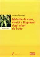 Luciano Giunchedi Malattie da virus, viroidi e fitoplasmi degli alberi da frutto immagine non disponibile