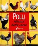 Hans Joachim Schille - Polli