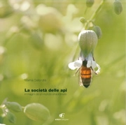 Marina Gallandra - La società delle api