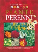 Autori Vari - Piante perenni