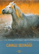 Paolo Manili Cavalli selvaggi immagine non disponibile