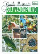 a cura di Giorgio Bargioni, Anna Percoco, Barbara Alfei Coltivazione Olivo immagine non disponibile