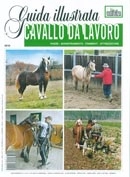 a cura di Roberto Libralato, Albano Moscardo - Cavallo da lavoro - Guida Illustrata