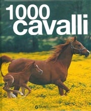 Ulrike Schober - 1000 cavalli