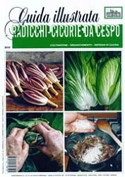 A.A.V.V. Radicchi - cicorie da cespo immagine non disponibile