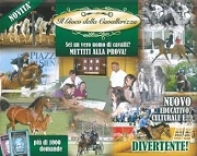 A.A.V.V. - Il gioco della cavallerizza