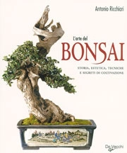 Antonio Ricchiari - L'arte del bonsai