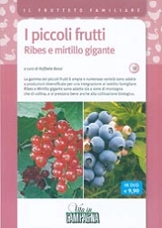 Raffaele Bassi I piccoli frutti: Ribes e Mirtillo DVD immagine non disponibile