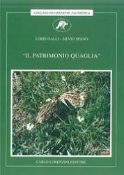 Loris Galli, Silvio Spanò - Il patrimonio quaglia