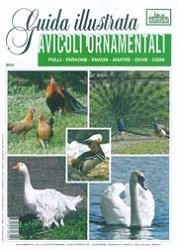 Maurizio Arduin - Avicoli ornamentali