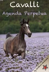 Scrittore Fantasma - Cavalli - agenda perpetua