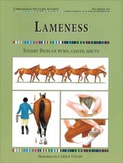 Stuart Duncan BVMS, CertEP, MRCVS - Lameness