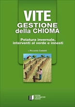 Riccardo Castaldi - Vite - gestione della chioma
