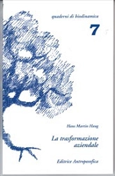 Hans Martin Haug - La trasformazione aziendale