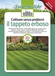 Stefano Macolino, Carlo Cametti, Arnaldo Zenti - Coltivare senza problemi il tappeto erboso