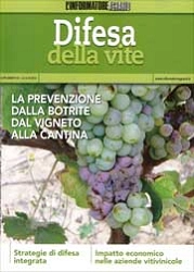Redazione L'Informatore Agrario - Difesa della vite - la prevenzione dalla botrite dal vigneto alla cantina