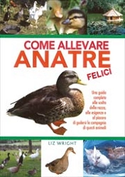 Liz Wright Come allevare anatre felici immagine non disponibile