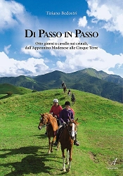Tiziano Bedostri Di passo in passo immagine non disponibile