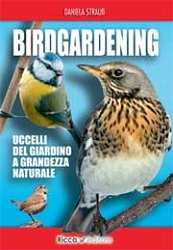 Daniela Strauss - Birdgardening