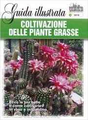 Vanda Del Valli - Coltivazione delle piante grasse