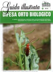 Luca Conte - Difesa orto biologico - seconda parte