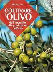 Pierluigi Villa Coltivare l'olivo immagine non disponibile