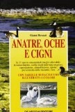 Gianni Ravazzi - Anatre, oche e cigni