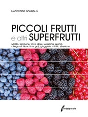 Giancarlo Bounous Piccoli frutti e altri superfrutti immagine non disponibile