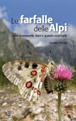 Gianluca Ferretti - Le farfalle delle Alpi