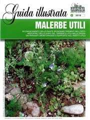 Luca Conte - Malerbe utili
