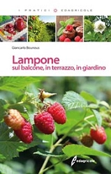 Giancarlo Bounous - Lampone