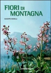Giuseppe Morelli - Fiori di montagna