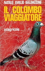 Natale Emilio Baldaccini - Il colombo viaggiatore