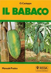 O.Cacioppo - Il babaco