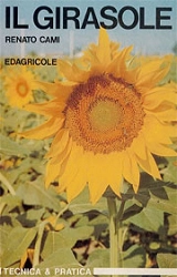 Renato Cami - Il girasole