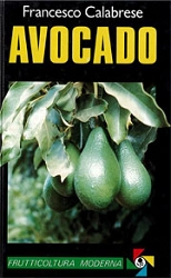 Francesco Calabrese - Avocado