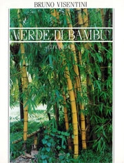 Bruno Visentini - Verde di Bambù