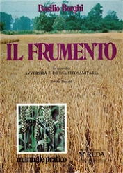 Basilio Borghi - Il frumento