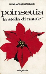 Elena Accati Garibaldi - Poinsettia 