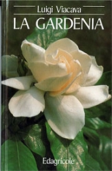 Luigi Viacava - La gardenia