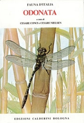 Cesare Conci, Cesare Nielsen - Fauna d'Italia vol. I - Odonata
