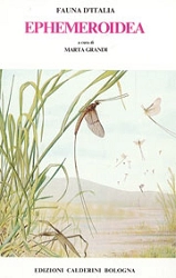 a cura di Marta Grandi - Fauna d'Italia vol. III - Ephemeroidea