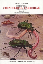 a cura di Mario Magistretti - Fauna d'Italia vol. VIII - Coleoptera: cicindelidae, carabidae