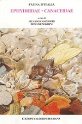 a cura di Silvano Canzoneri, Dino Meneghini - Fauna d'Italia vol. XX - Ephydridae, Canaceidae