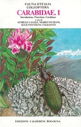 a cura di Achille Casale, Mario Sturani, Augusto Vigna Taglianti  - Fauna d'Italia vol. XVIII  - Coleoptera, Carabidae. 1