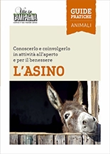 Silvia Allegri - L'Asino