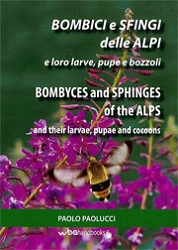 Paolo Paolucci - Bombici e sfingi delle Alpi - Bombyces and Sphinges of the Alps