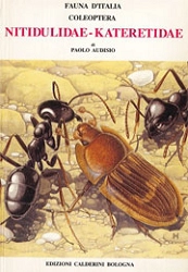 Paolo Audisio - Fauna d'Italia XXXII - Coleoptera: Nitidulidae - Kateretidae
