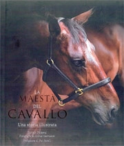 Tamsin Pickeral La maestà del cavallo - una storia illustrata immagine non disponibile