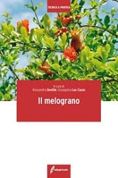 Alessandra Gentile, Giuseppina Las Casas - Il melograno